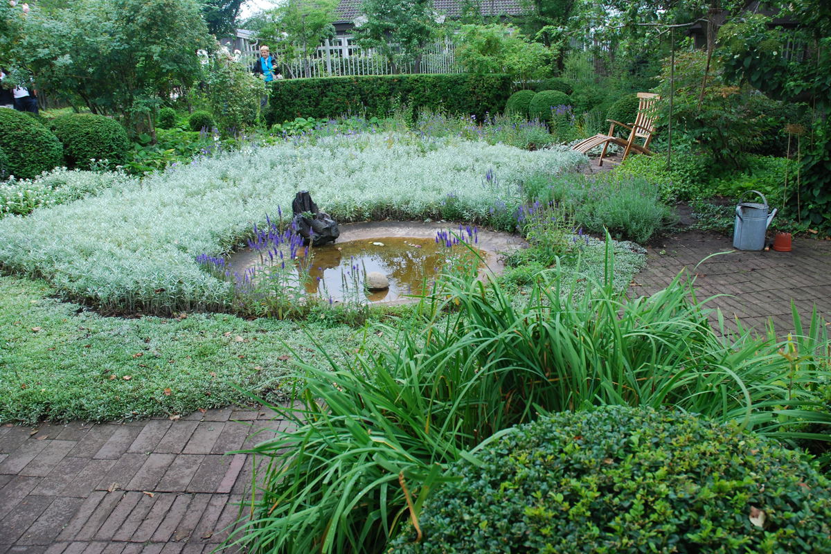 Bild på en trädgård. 