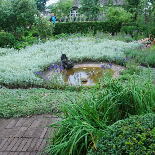 Bild på en trädgård. 