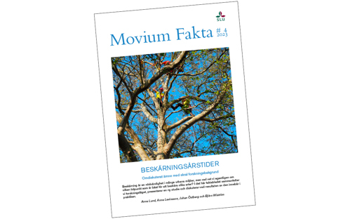Faktabladets omslag, beskärning av trädkrona. Foto.