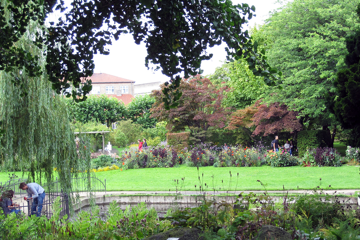 Välskött parkmiljö. Foto.