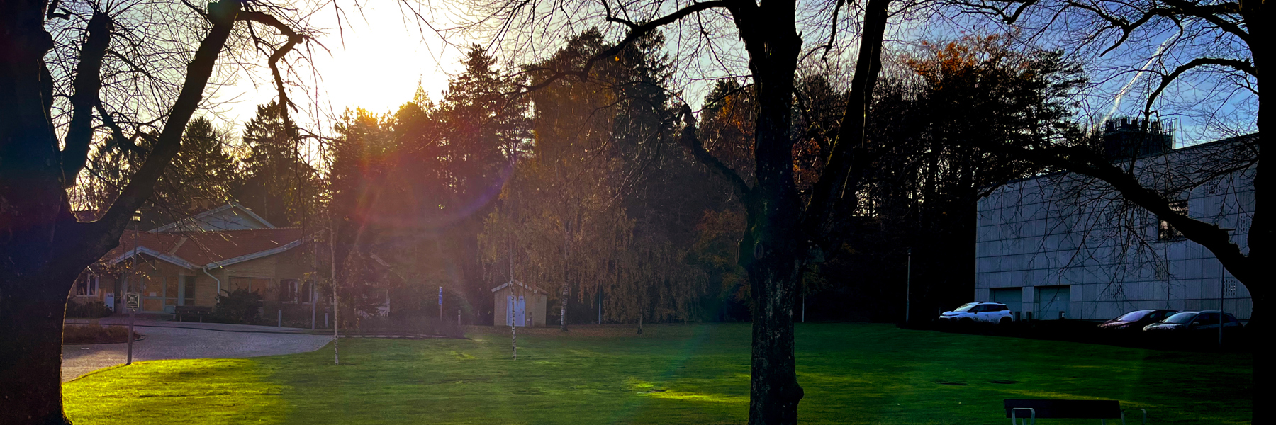 Soluppgång över utemiljö. Foto.