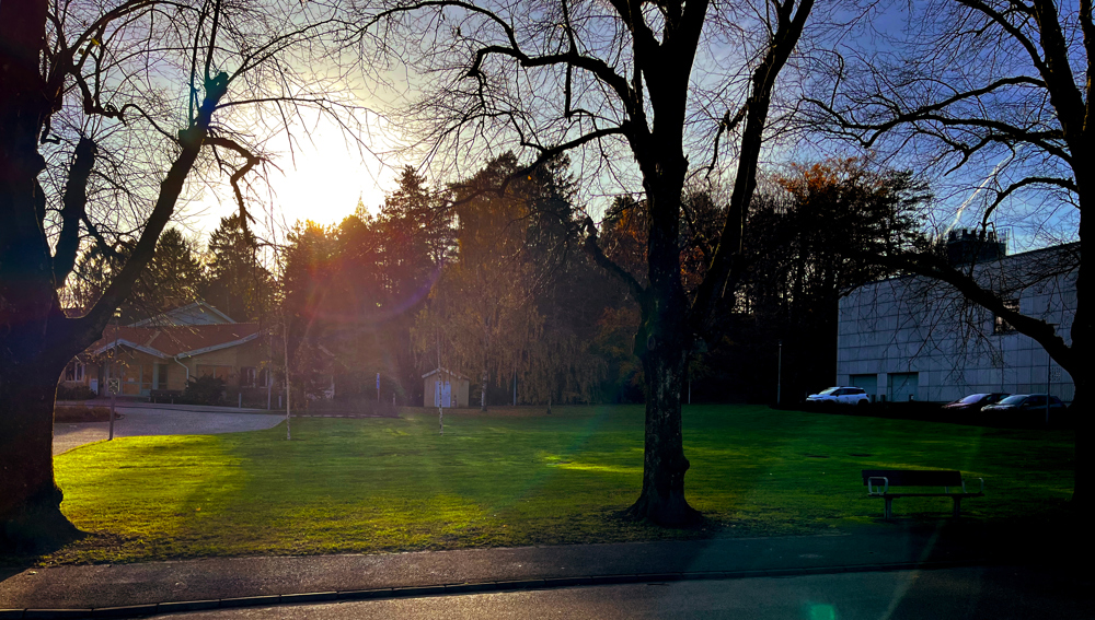 Soluppgång över utemiljö. Foto.