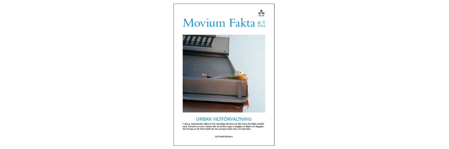Faktabladets omslag. Mås med bo i takränna. Foto.