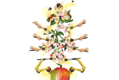 Bin, händer och robotarmar pollinerar äppelblommor. Illustration.