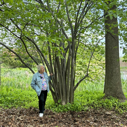 Susan Humphries står och håller i en stam i en parkmiljö. Foto.