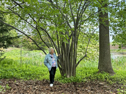 Susan Humphries står och håller i en stam i en parkmiljö. Foto.