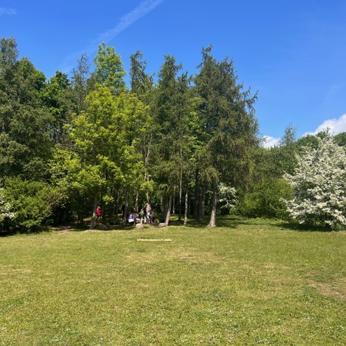 Skog i stadsmiljö. 