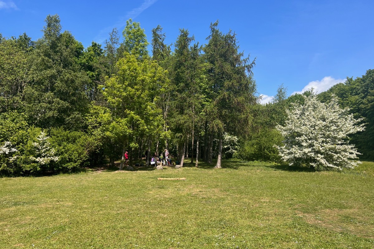 Skog i stadsmiljö. 