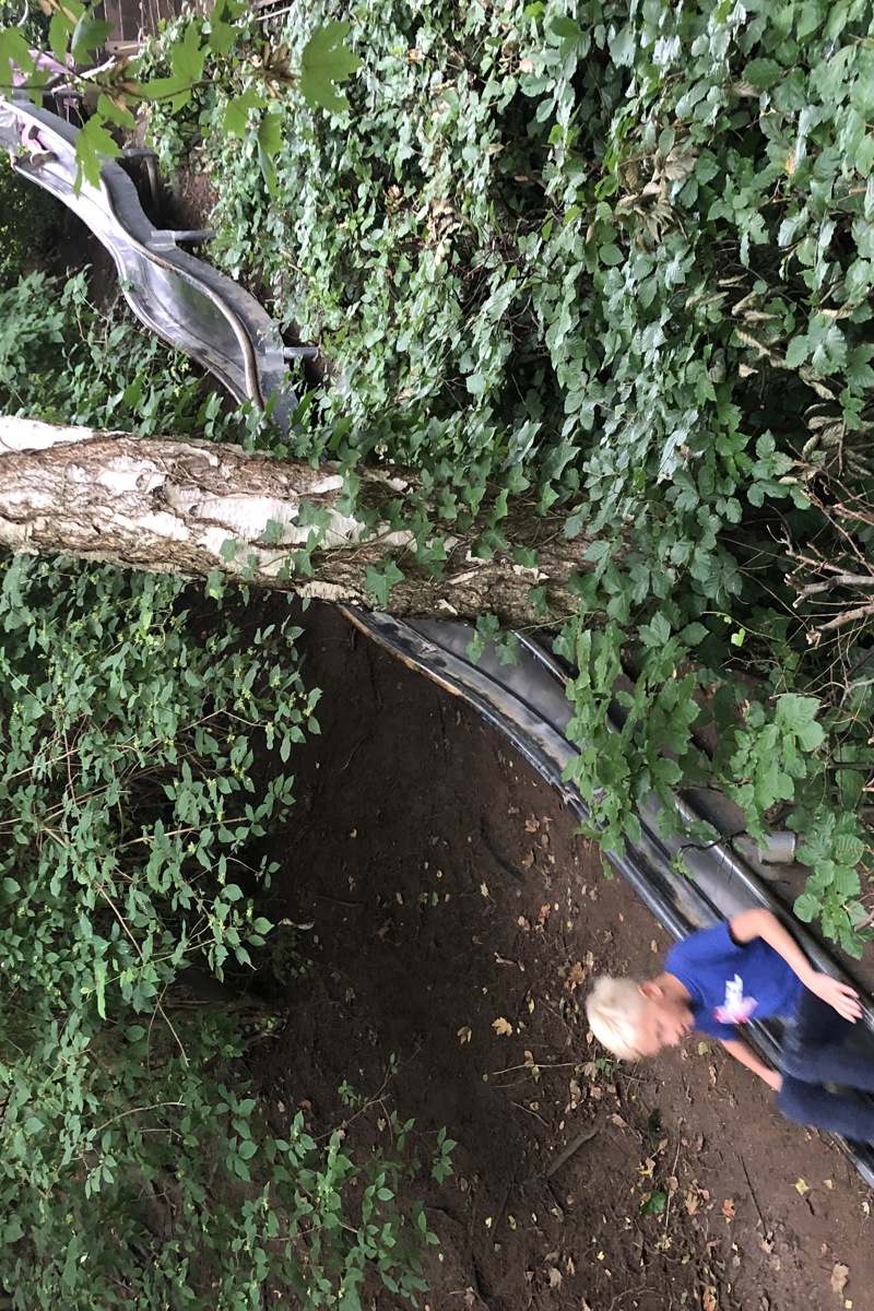 Barn åker rutschkana nerför skogsbacke. Foto.