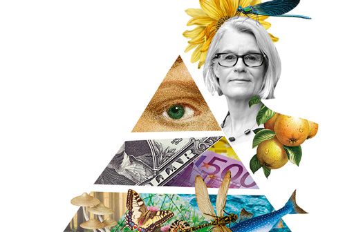 Tredelad pyramid och foto av ledarskribent. Illustration/kollage.