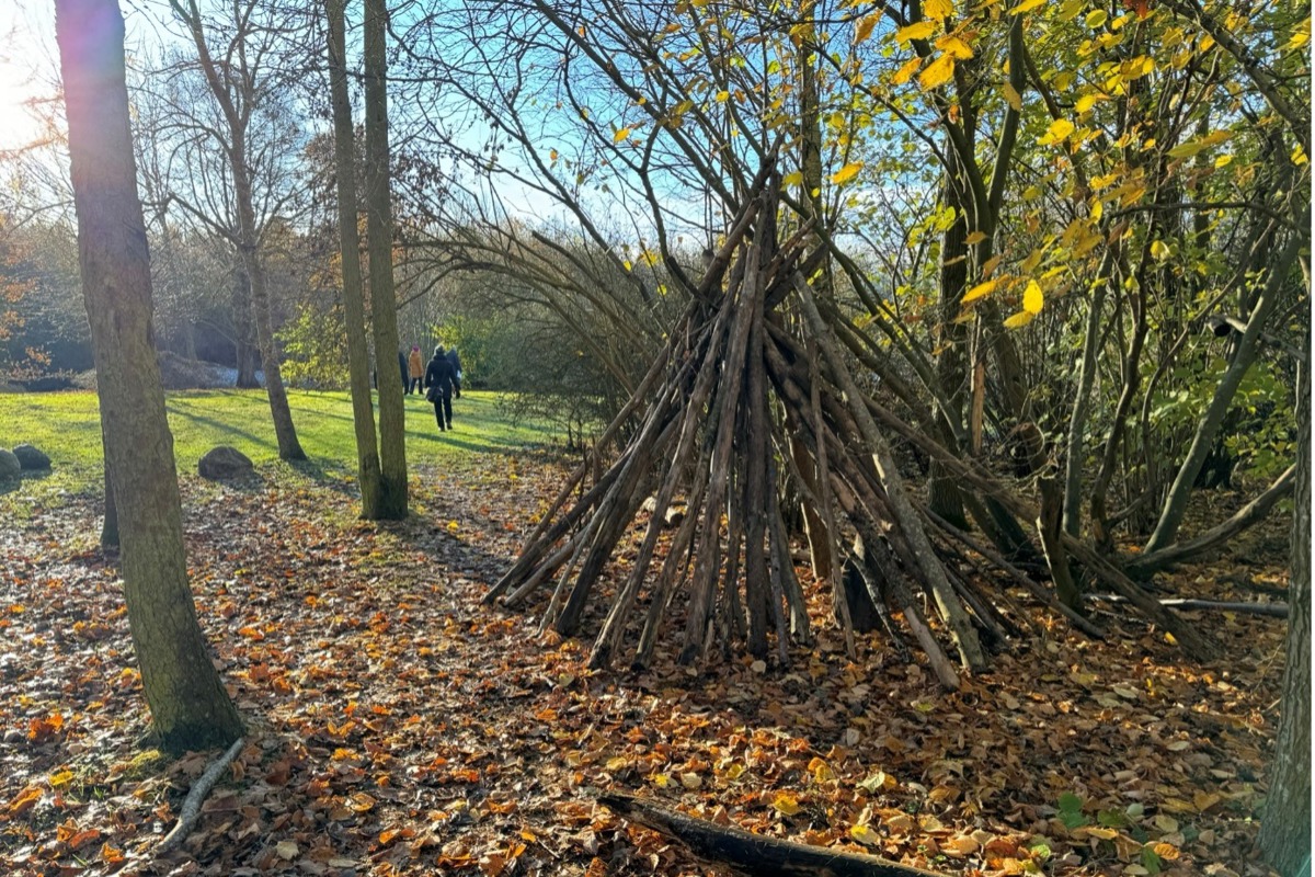 Koja i skog vid gräsmatta. Foto.