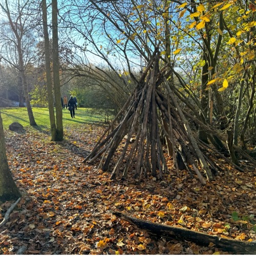 Koja i skog vid gräsmatta. Foto.