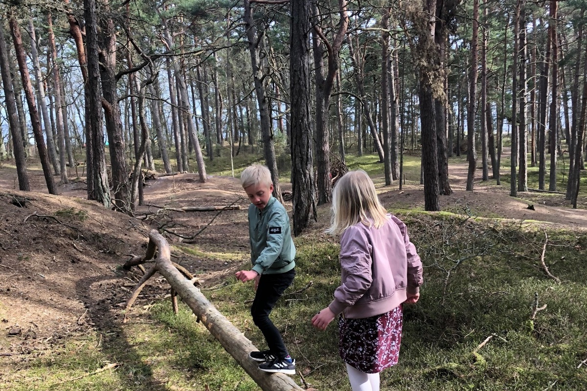 Barn på stock i skog. Foto.