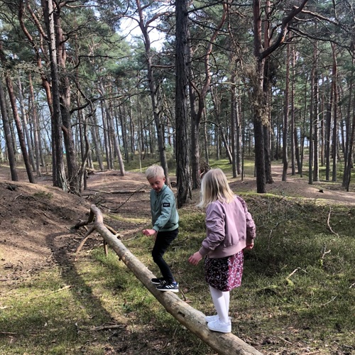 Barn på stock i skog. Foto.