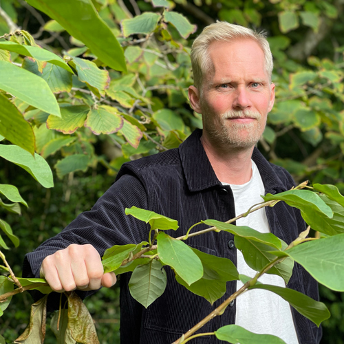 Harald Klein i buskage. Foto.