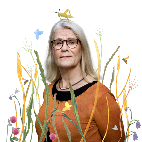 Titti Olsson bland blommor och gräs, gräshoppa. Illustration.