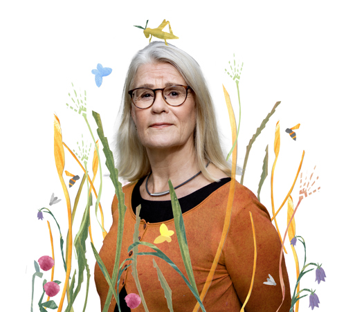 Titti Olsson bland blommor och gräs, gräshoppa. Illustration.