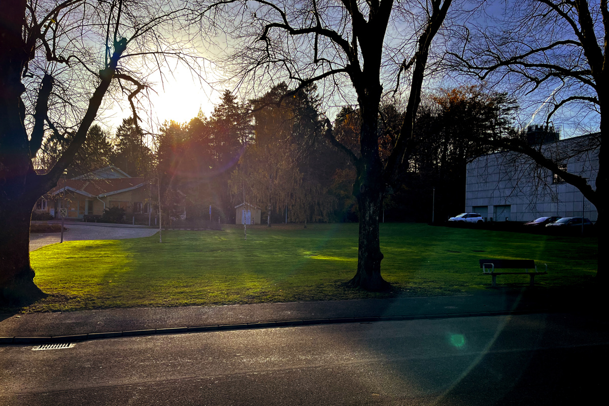 Soluppgång över utemiljö. Foto.