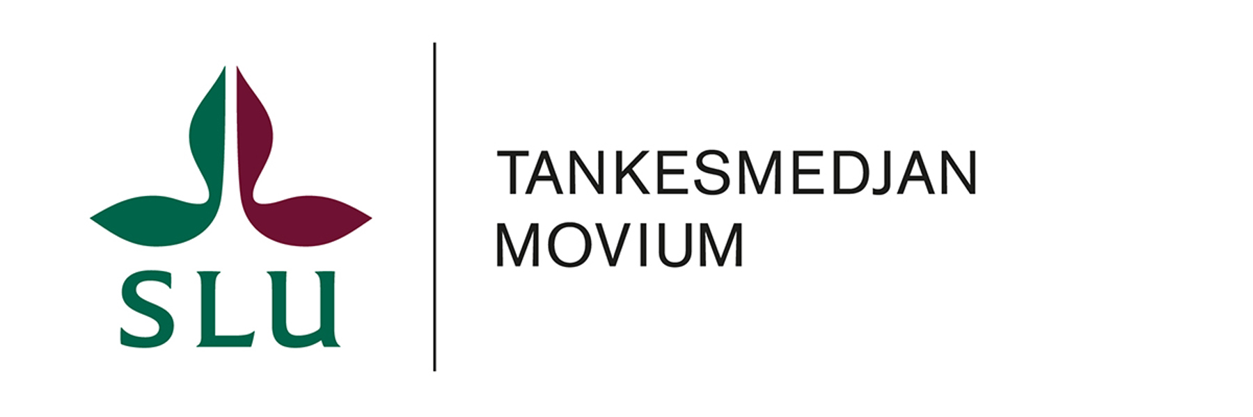 Moviums logo.