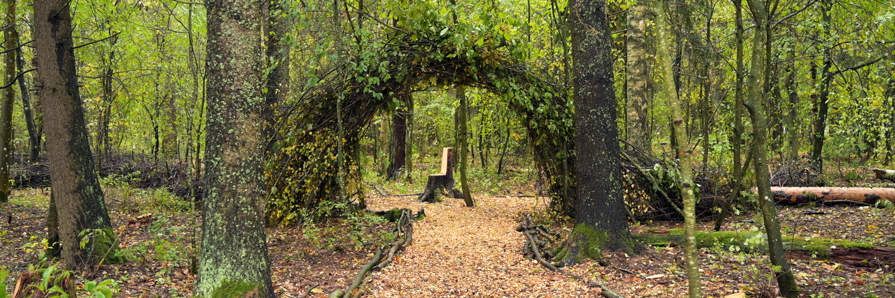 Gestaltad glänta med tron och portal i skogen. Foto.