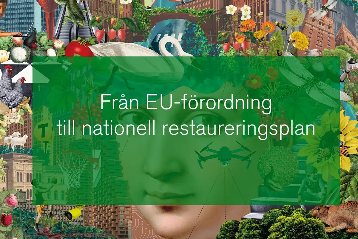 Webbinarieseriens illustration med gröna stadselement och textplatta: Från EU-förordning till nationell restaureringsplan