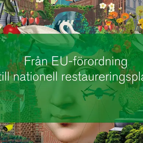 Webbinarieseriens illustration med gröna stadselement och textplatta: Från EU-förordning till nationell restaureringsplan