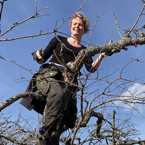 Foto på kvinna i ett träd.