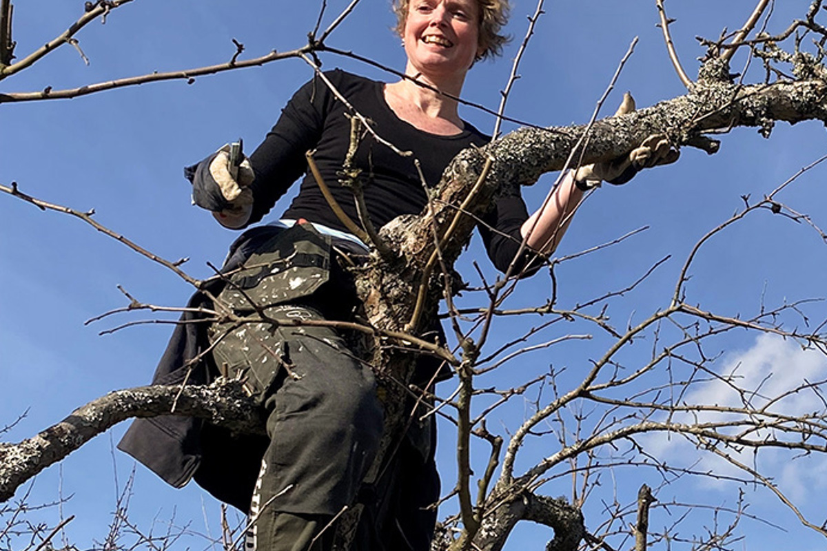 Foto på kvinna i ett träd.