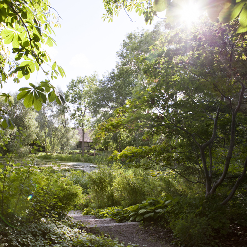 Grön utomhusmiljö. Foto.