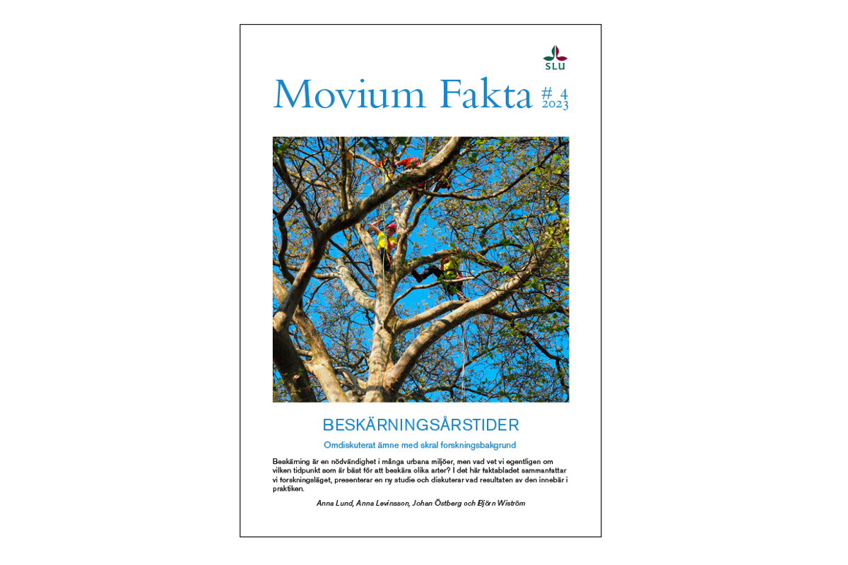 Faktabladets omslag, beskärning av trädkrona. Foto.