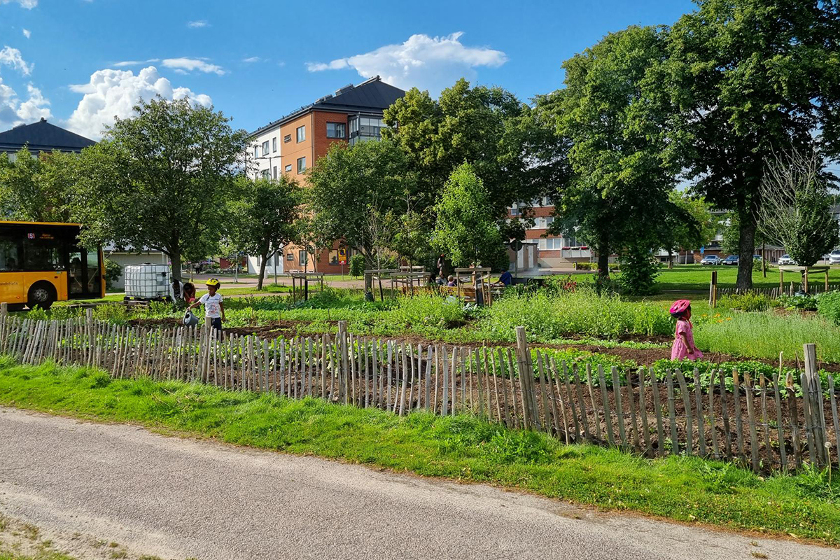 Odling i flerbostadshusmiljö. Foto.