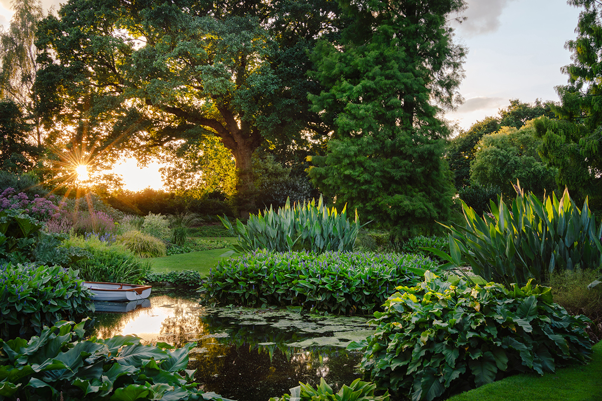 Vacker trädgård med damm i solnedgång. Foto.