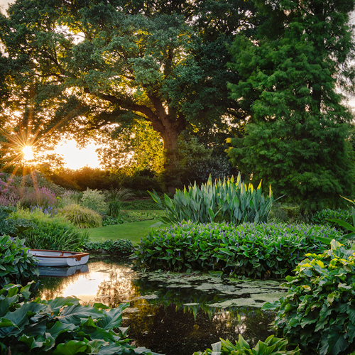 Vacker trädgård med damm i solnedgång. Foto.