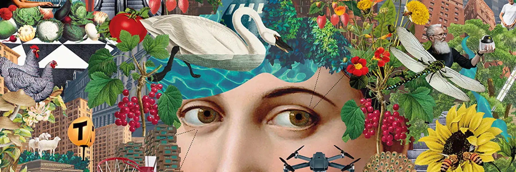 Kollage med element från stad och natur. Illustration.