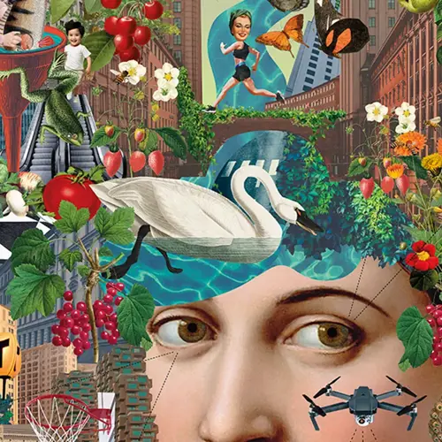 Kollage med element från stad och natur. Illustration.