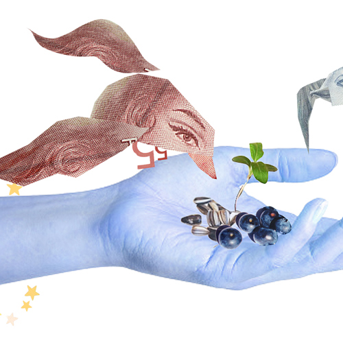 Hand matar fåglar. Illustration.