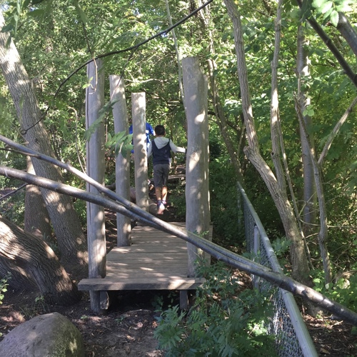 Barn går över bro i skogsmiljö