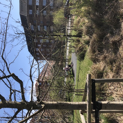 Träd, buskar, gräs, person på parkbänk. Foto.