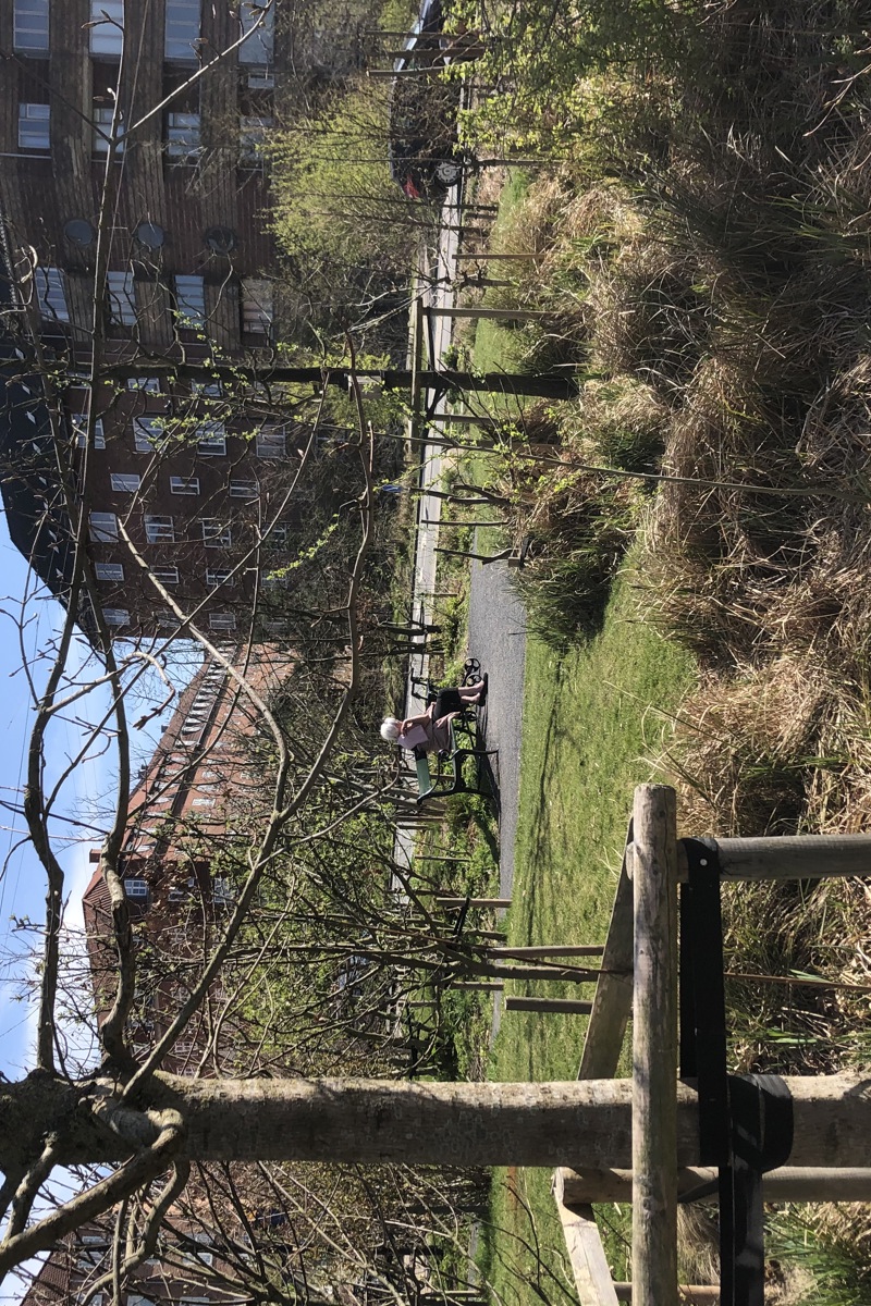 Träd, buskar, gräs, person på parkbänk. Foto.