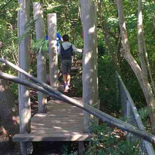 Barn går på bro av stockar. Foto.